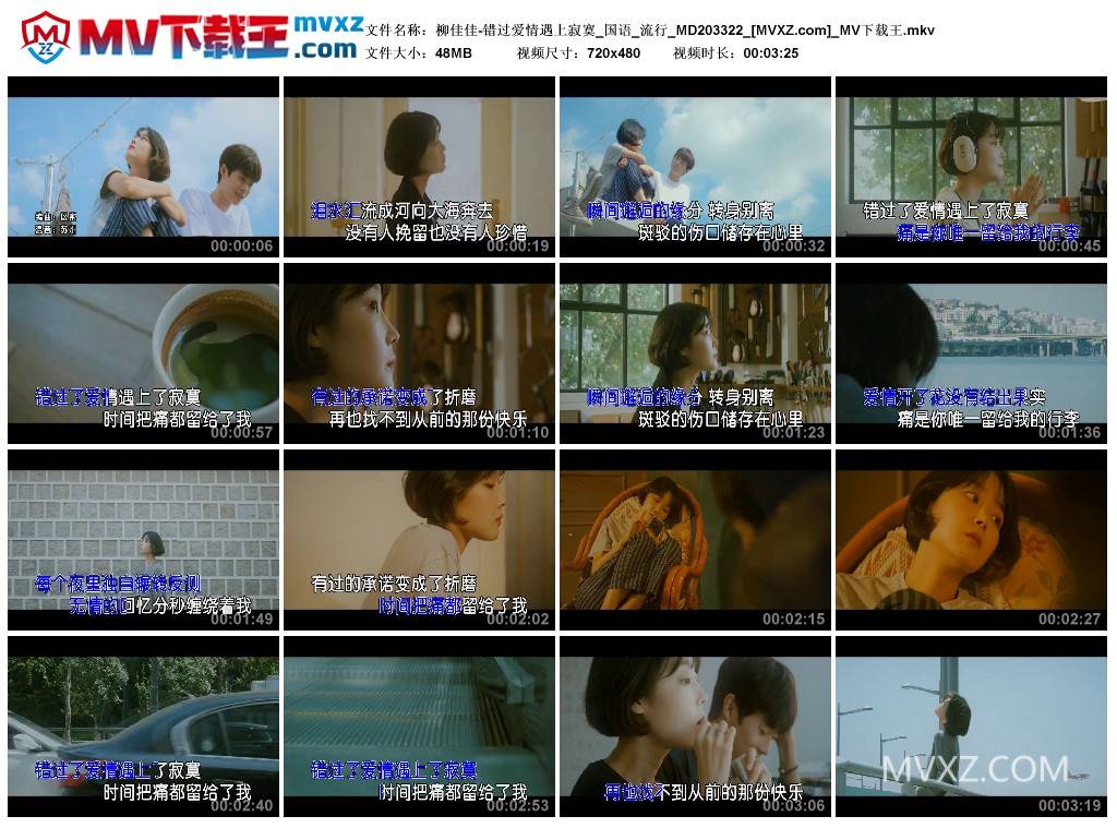 柳佳佳-错过爱情遇上寂寞_国语_流行_MD203322